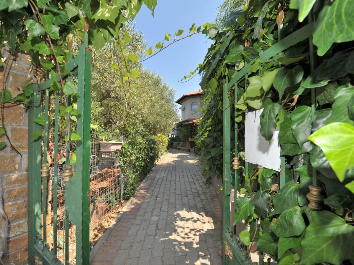 Alice Wonderland Home Nea Flogita Halkidiki Buitenkant foto